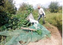 رفع تصرف ۲۴ هزار متر مربع از اراضی رودخانه سفیدرود