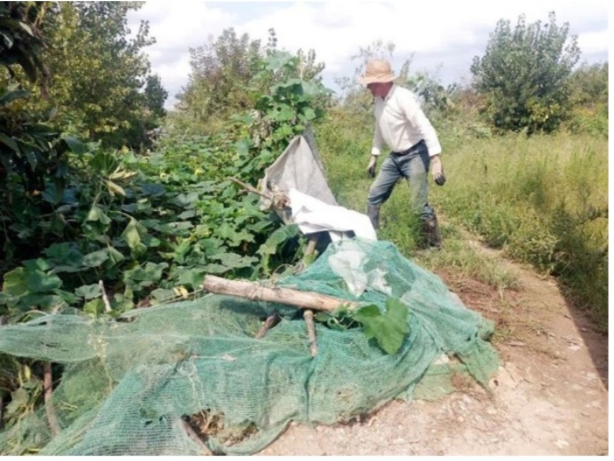 رفع تصرف ۲۴ هزار متر مربع از اراضی رودخانه سفیدرود