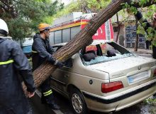 با توجه به آغاز هرس درختان و هشدار هواشناسی مبنی بر وزش باد گرم طی ۱۵ روز آینده شهروندان از پارک خودرو در مجاورت درختان معابر رشت خودداری کنند