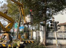 با توجه به آغاز فصل خزان درختان ، در راستای رفاه حال شهروندان صورت می گیرد؛ اجرای عملیات هرس و ایمن سازی درختان معابر شهر رشت