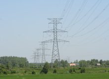 معاون بهره برداری شرکت برق منطقه ای گیلان: ۷۲٫۵ درصد حوادث سطح ولتاژ انتقال، ناشی از درختان بوده است