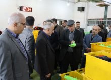 مدیرکل صمت گیلان‌ ؛  تمام قد در خدمت تولید هستیم/سرمایه‌گذاری ۲۸۰ میلیارد تومانی طرح توسعه دستکش گیلان