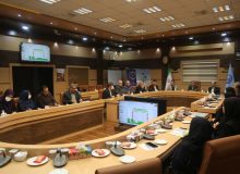 رئیس دانشگاه علوم پزشکی گیلان خبر داد: سیر نزولی جمعیت در گیلان/ باید در اجرای طرح نفس مصمم‌تر بود