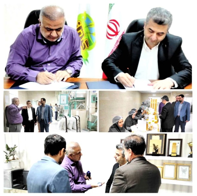 قرارداد همکاری فی مابین پست استان گیلان و شرکت صنایع غذایی گیل تاز به امضاء رسید