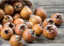 آغاز برداشت ازگیل از ۵۶۰ هکتار از باغ‌های گیلان