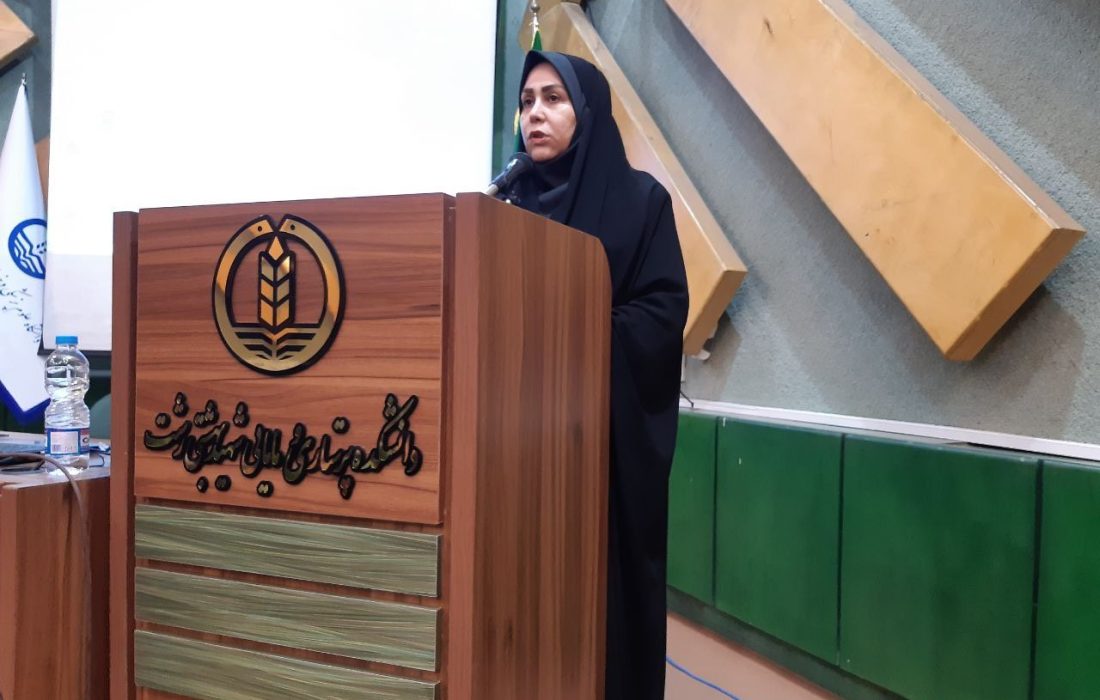 با حضور مدیر امور پرستاری دانشگاه علوم پزشکی گیلان؛ برگزاری جلسه سراسری بررسی فرآیند اجرای تعرفه‌گذاری پرستاری