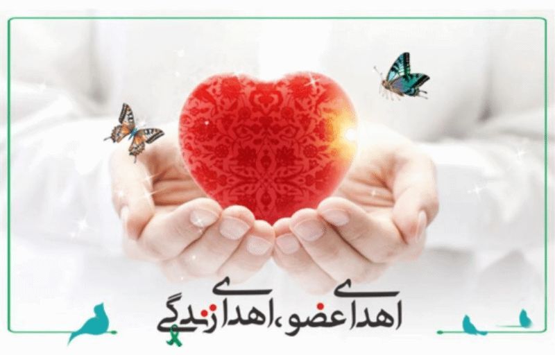 بیست و سومین اهدای عضو گیلان در سال‌جاری؛ اهدای اعضای بدن جوان رشتی به بیماران نیازمند جان دوباره بخشید