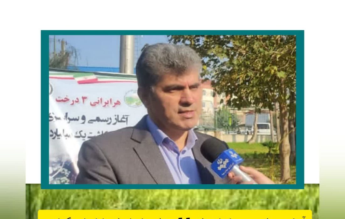 آغاز برداشت مرکبات از ۱۱ هزار هکتار از باغ‌های گیلان