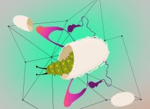 مدیر‌کل کانون گیلان اعلام‌کرد؛ «مسأله‌شناسی، کلید نوآوری و پیشرفت»، عنوان ویژه‌برنامه‌های هفته پژوهش سال