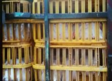 توقيف محموله مرغ فاقد مجوز در صومعه‌سرا