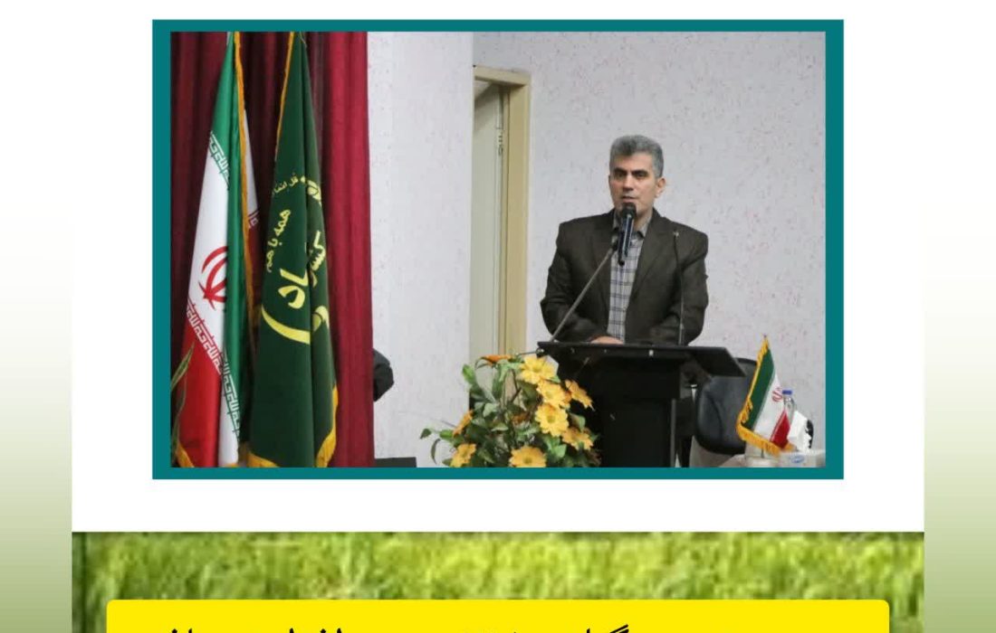 جوجه‌ریزی در گیلان ۱۲.۵ درصد افزایش یافت