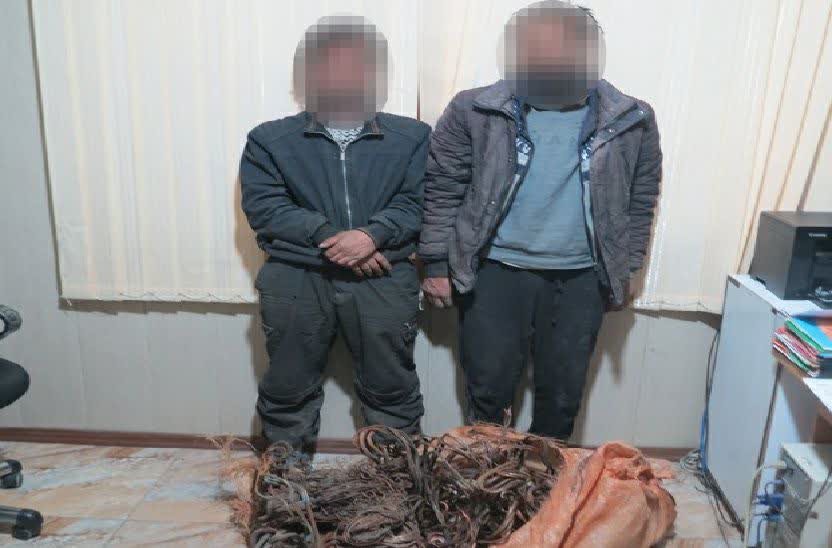 سوزاندن روکش كابل در رودبار، سارقان را لو داد