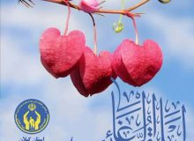 پویش برآورده کردن آرزوهای فرزندان یتیم و نیازمند توسط کمیته امداد استان گیلان