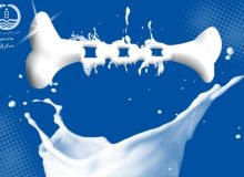 لبنیات کم چرب خطر ابتلا به پوکی استخوان را کاهش می‌دهد