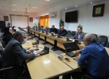 کمیته درون بخشی برنامه کنترل و پیشگیری از بیماری های منتقله از پشه آئدس تشکیل شد