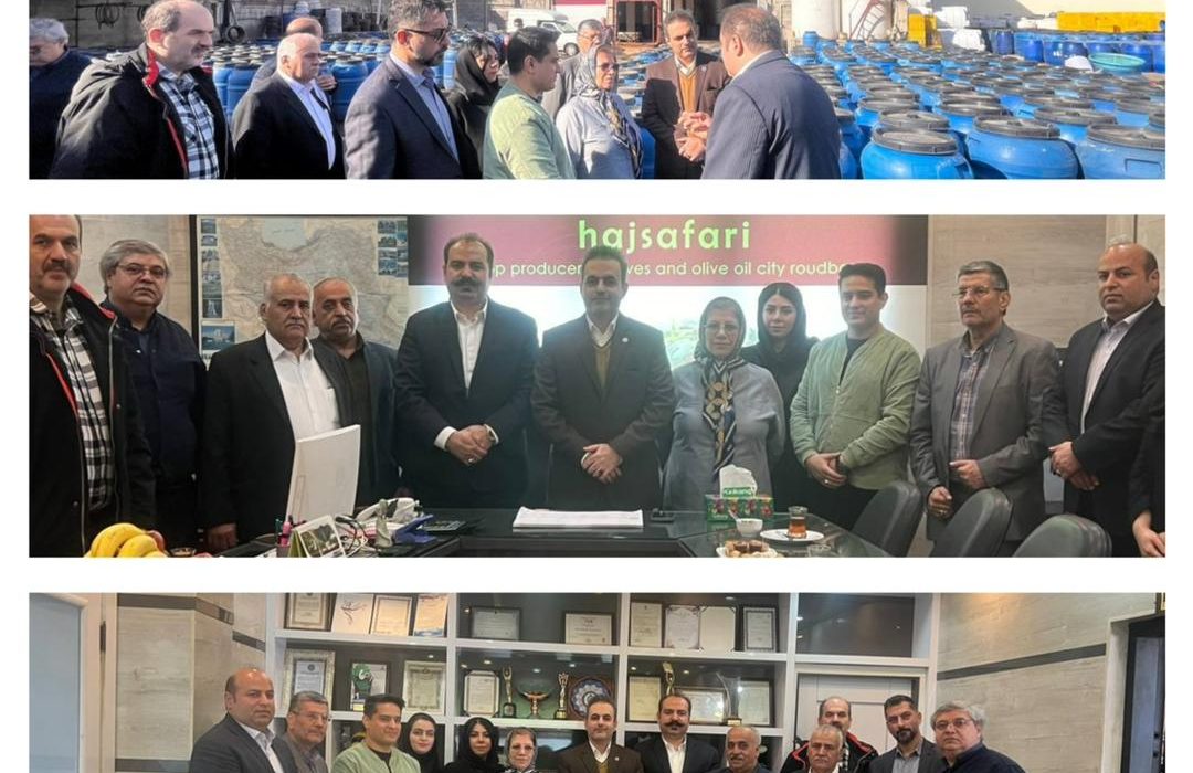 بازديد هيئت رئيسه و اعضاء كميسيون توسعه صادرات اتاق بازرگاني گيلان از ظرفيت هاي توليدي صنايع تبديلي زيتون استان