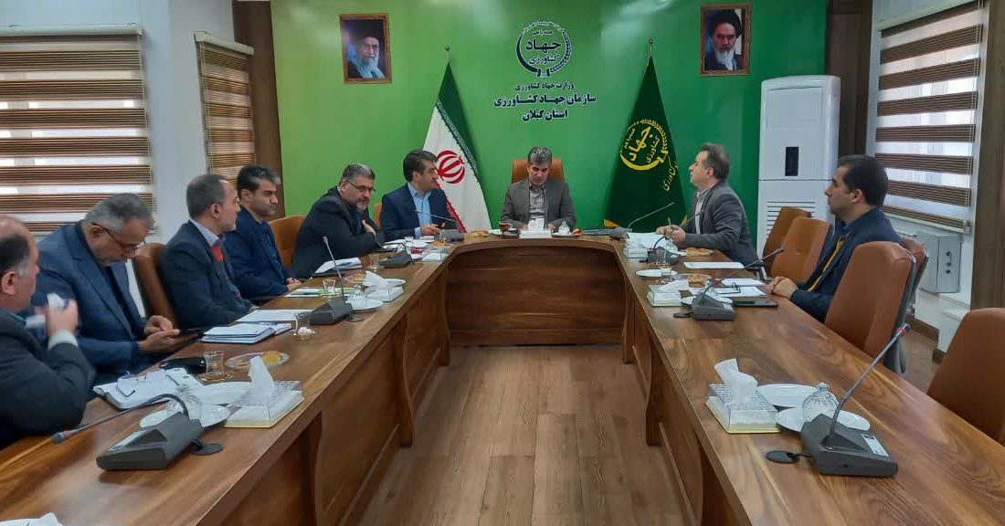 نشست رییس سازمان جهاد کشاورزی گیلان با تشکل‌های تخصصی برنج استان برگزار شد