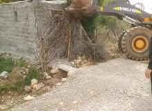 معرفی متصرف اراضی به دادسرای فومن