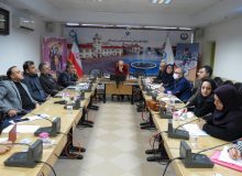 برگزاری جلسه زیرکارگروه تخصصی تغذیه سند پیشگیری و کنترل بیماری های غیرواگیر و عوامل خطر مرتبط استان