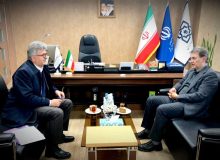 ضرورت افزایش چتر حمایتی بیمه سلامت از بیماران نادر/ گیلان مستحق‌ترین استان بیمه سلامت در جوانی جمعیت است