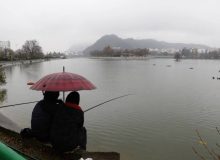 جشنواره ماهیگیری خانوادگی در استخر لاهیجان برگزار شد