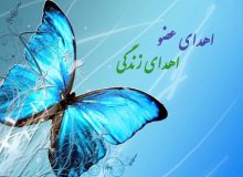 نخستین اهدای عضو در سال ۱۴۰۳
