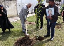 همزمان با روز درختکاری آیین کاشت نهال به یاد اهداکنندگان عضو در بوستان سیمرغ شهر رشت