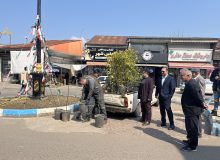 به همت شهرداری وشورای شهر خمام‌،توزیع ۲۰۰ اصله درخت میوه بین شهروندان