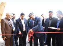 چهارمین نمایشگاه گل و گیاه شهرداری لاهیجان افتتاح شد