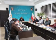 استقبال سرمایه گذاران چینی از بسته‌های سرمایه‌گذاری در منطقه آزاد انزلی