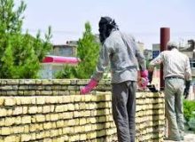 مدیرکل تامین اجتماعی استان گیلان  :  بیش از ۴۰ هزار کارگر ساختمانی و راننده تحت پوشش تامین اجتماعی گیلان قرار دارند