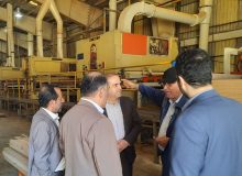 مدیرکل تامین اجتماعی استان گیلان : شرکت نئوپان فومنات از افتخارات صنعت استان در عرصه تولید ملی است