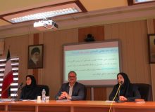 مدیر کل امور اقتصادی و دارایی گیلان  :گیلان با اطلاع رسانی به موقع رتبه دوم کشور در ثبت مجوزها به شناسه یکتا کسب کرده است/۲۵ اردیبهشت آخرین مهلت دریافت شناسه یکتا