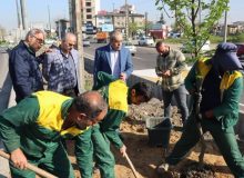 زیباسازی سیمای بصری ورودی رشت با کاشت درختان بومی و اصیل هیرکانی