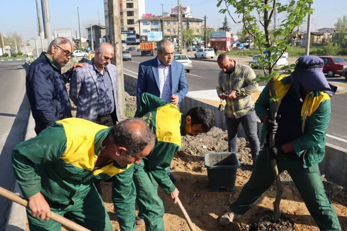 زیباسازی سیمای بصری ورودی رشت با کاشت درختان بومی و اصیل هیرکانی