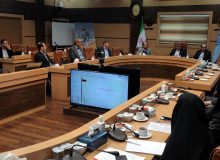 رئیس دانشگاه علوم پزشکی گیلان: افزایش مراقبت از نوزادان و کودکان برای کاهش مرگ‌ومیر ضروری است