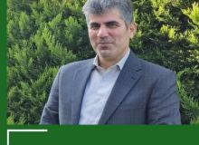 شخم اولیه نیمی از شالیزارهای گیلان انجام شد