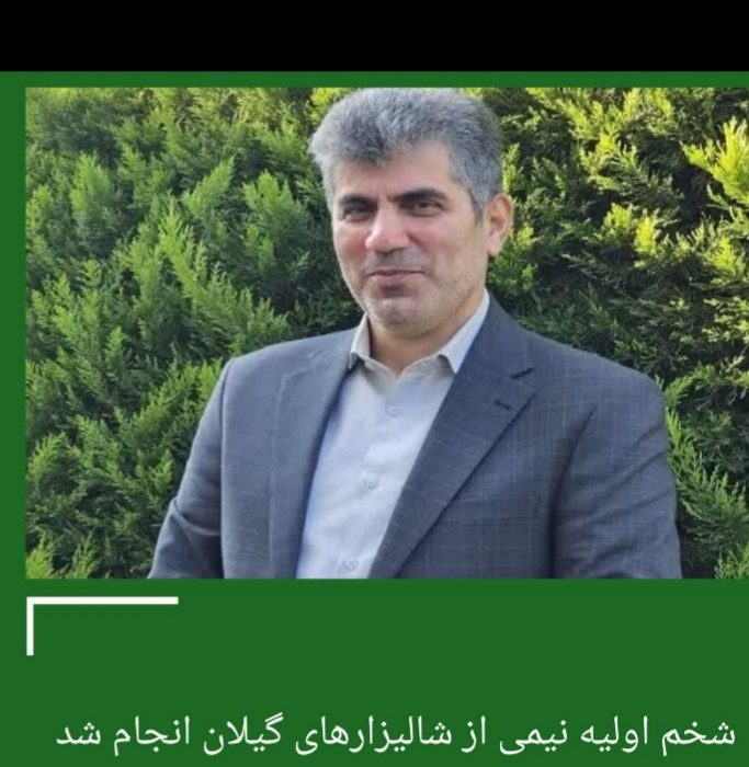 شخم اولیه نیمی از شالیزارهای گیلان انجام شد