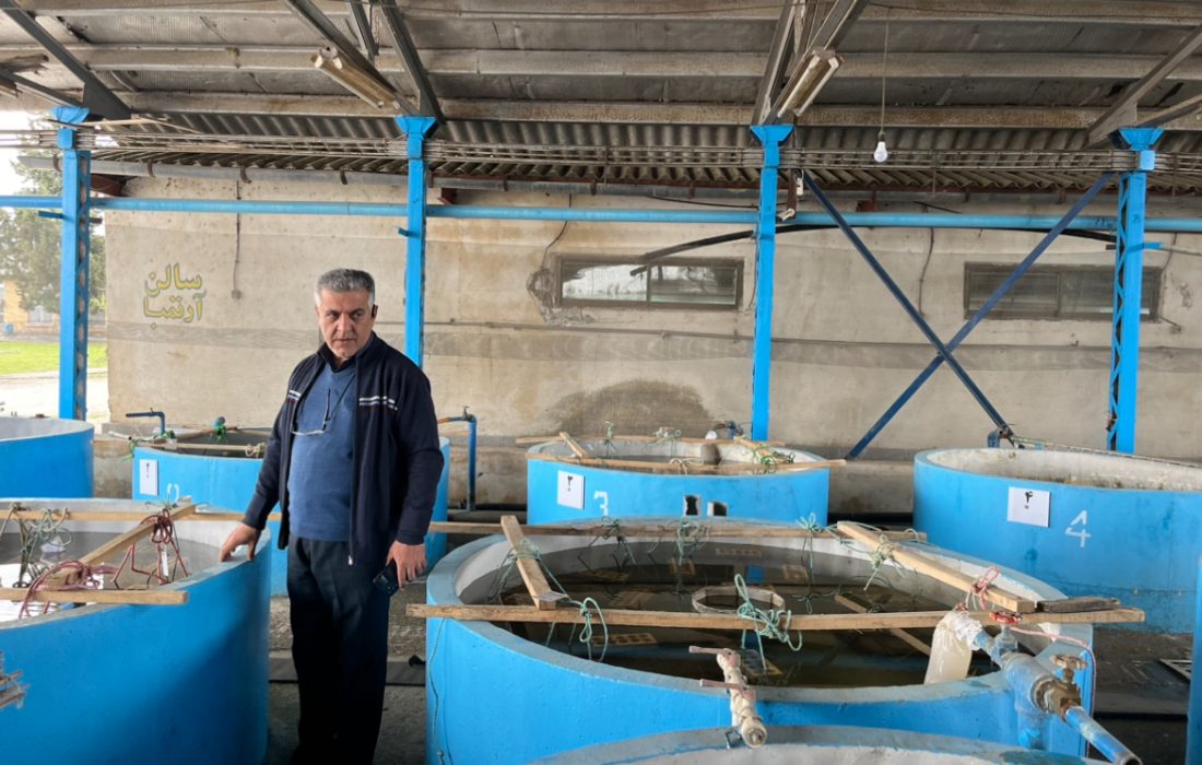 اگر مراکز بازسازی ذخایر شیلات فعالیت نکنند ماهیان ارزشمند خزر مورد تهدید نابودی ذخایرخواهند بود 