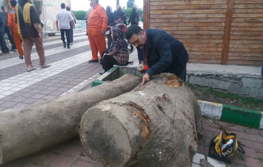 نخستین جشنواره مجسمه های چوبی لاهیجان آغاز بکار کرد