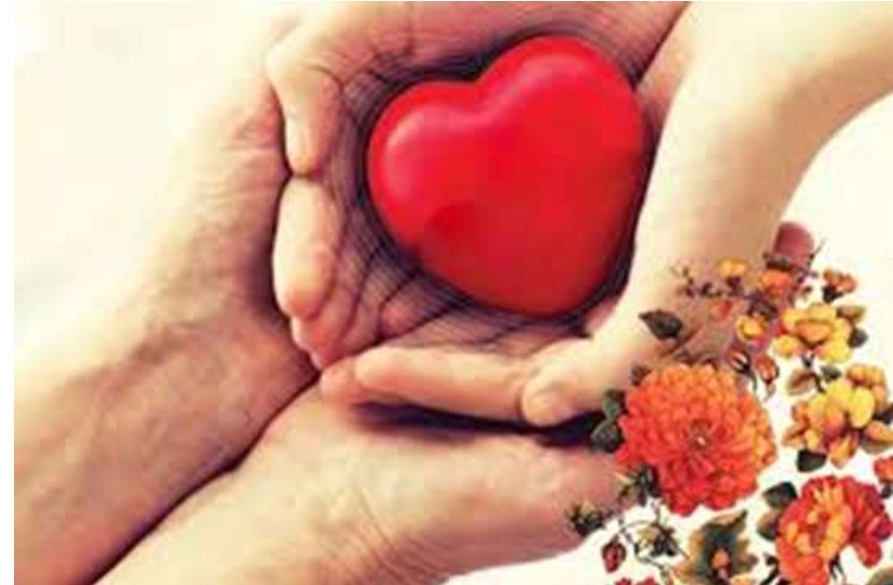 اهدای عضو بیمار مرگ مغزی لنگرودی