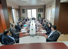 حضور مدیر کل اموال تملیکی استان گیلان در جلسه ساماندهی و تقویت مدیریت مرزهای مجاز آبی در حوزه نظارت گمرکات استان گیلان