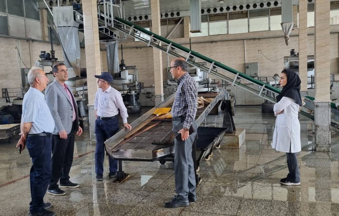 در راستای نظارت بر کارخانجات چای استان صورت گرفت: بازرسی از فرآیند تولید کارخانجات فرآوری و بسته بندی چای استان گیلان