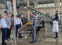 در راستای نظارت بر کارخانجات چای استان صورت گرفت: بازرسی از فرآیند تولید کارخانجات فرآوری و بسته بندی چای استان گیلان