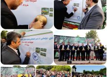 آئین رونمایی از تمبر_اختصاصی  جشنواره فرهنگی و گردشگری برداشت آلوچه در شهر گوراب زرمیخ