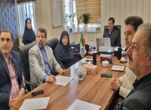 نخستین همایش معاونت های غذا و دارو کلان منطقه یک کشور برگزار شد