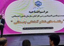 افتتاحیه بیست و یکمین دوره المپیاد ورزشی بانوان سازمان تامین اجتماعی در رشته های شنا و آمادگی جسمانی به میزبانی استان گیلان انجام شد