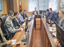 در سومین نشست کارگروه سلامت محصولات کشاورزی به انجام رسید ؛ بررسی وضعیت سلامت برنج تولید شده در استان گیلان