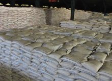 فروش مستقیم انواع کودهای کشاورزی