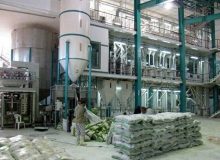 مدیرکل صمت گیلان : طرح نظارتی ویژه شالیکوبی در گیلان آغاز شد  نرخ تبدیل شلتوک به برنج سفید مصوب شد